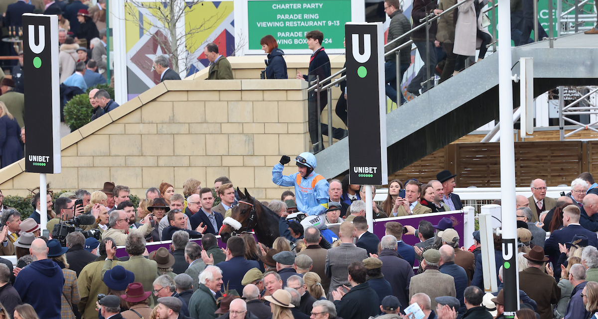 Marie's Rock at the Cheltenham Festival